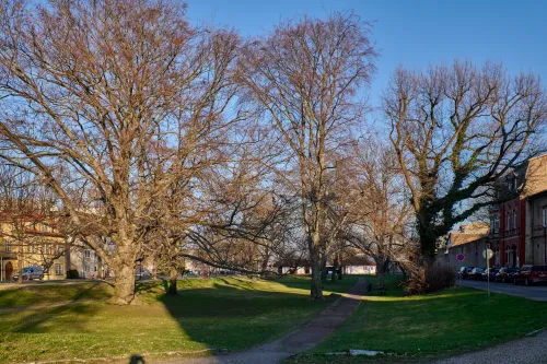 Park an der Burg in Mühlhausen, stop 7 on the self-guided walking tour