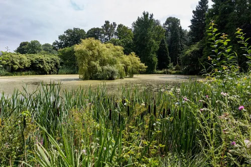 Schlossgarten in Munster, stop 6 on the self-guided walking tour