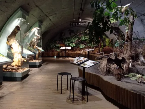House of Nature of the Třeboňsko Region in Trebon, stop 5 on the self-guided walking tour