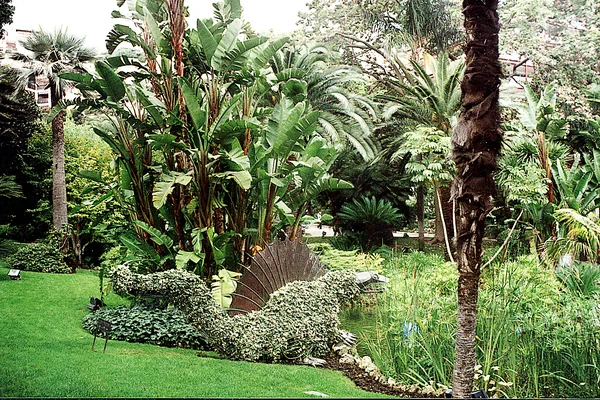 Jardins de la Petite Afrique, Monaco