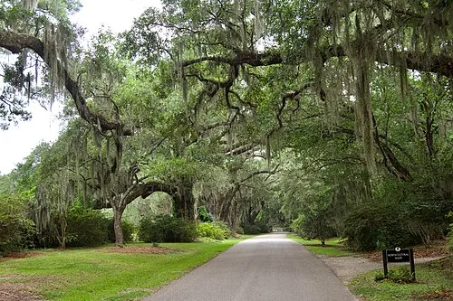 Magnolia Plantation and Gardens