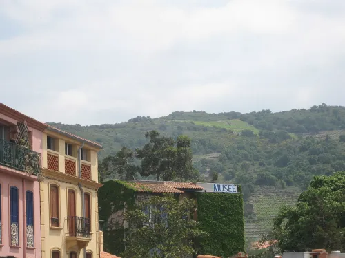 Musée d'Art Moderne de Collioure, stop 3 on the self-guided walking tour