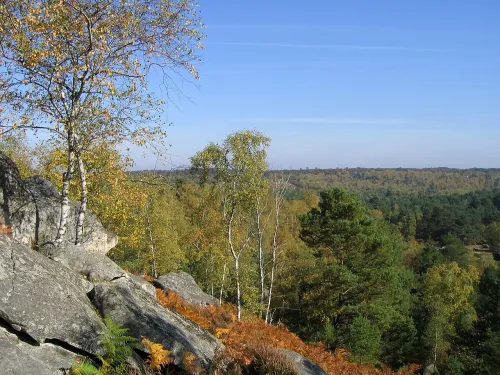 Forest of Fontainebleau, stop 3 on the self-guided walking tour