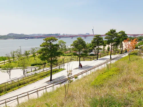 Mangwon Hangang Park