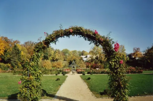 Magdalen Garden in Hildesheim, stop 5 on the self-guided walking tour