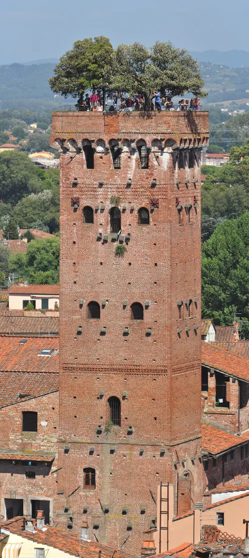 Torre Guinigi in Lucca, stop 9 on the self-guided walking tour