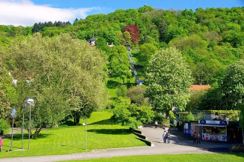 Stadtgarten in Freiburg, stop 5 on the self-guided walking tour