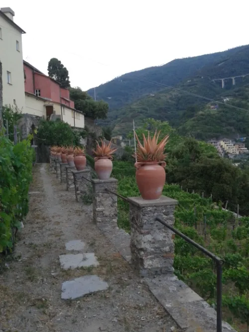 Capuchin Convent and Church of San Francesco in Monterosso, stop 4 on the self-guided walking tour
