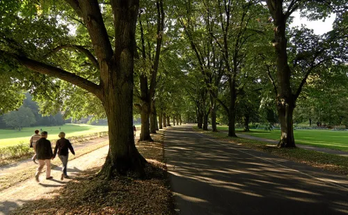 Lichtentaler Allee in Baden Baden, stop 6 on the self-guided walking tour