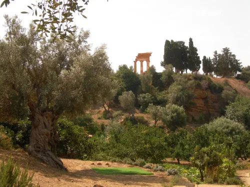 Garden of Kolymbetra in Agrigento, stop 4 on the self-guided walking tour