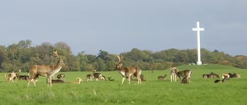 Phoenix Park