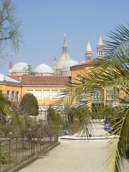 Botanical Garden of Padua, stop 4 on the self-guided walking tour