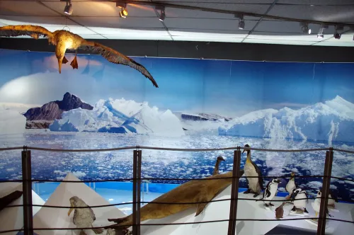 Museo Salesiano Maggiorino Borgatello a Punta Arenas, tappa 6 della visita a piedi autoguidata