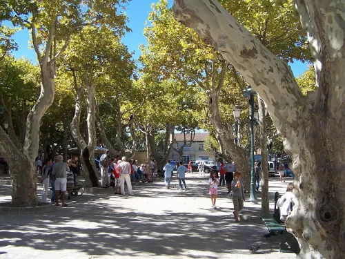Place des Lices in Saint Tropez, stop 6 on the self-guided walking tour