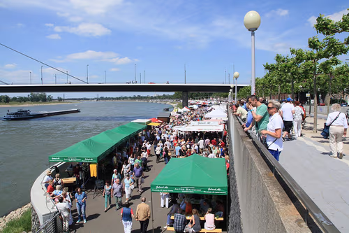 Fischmarkt in Düsseldorf, Station 2 auf dem selbstgeführten Stadtrundgang