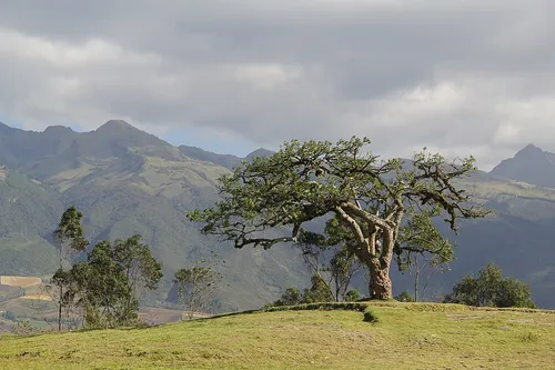 El Lechero i Otavalo, stop 4 på den selvguidede vandretur