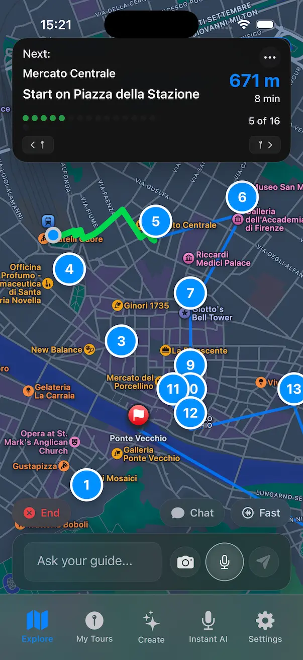 GPS Navigation Interface