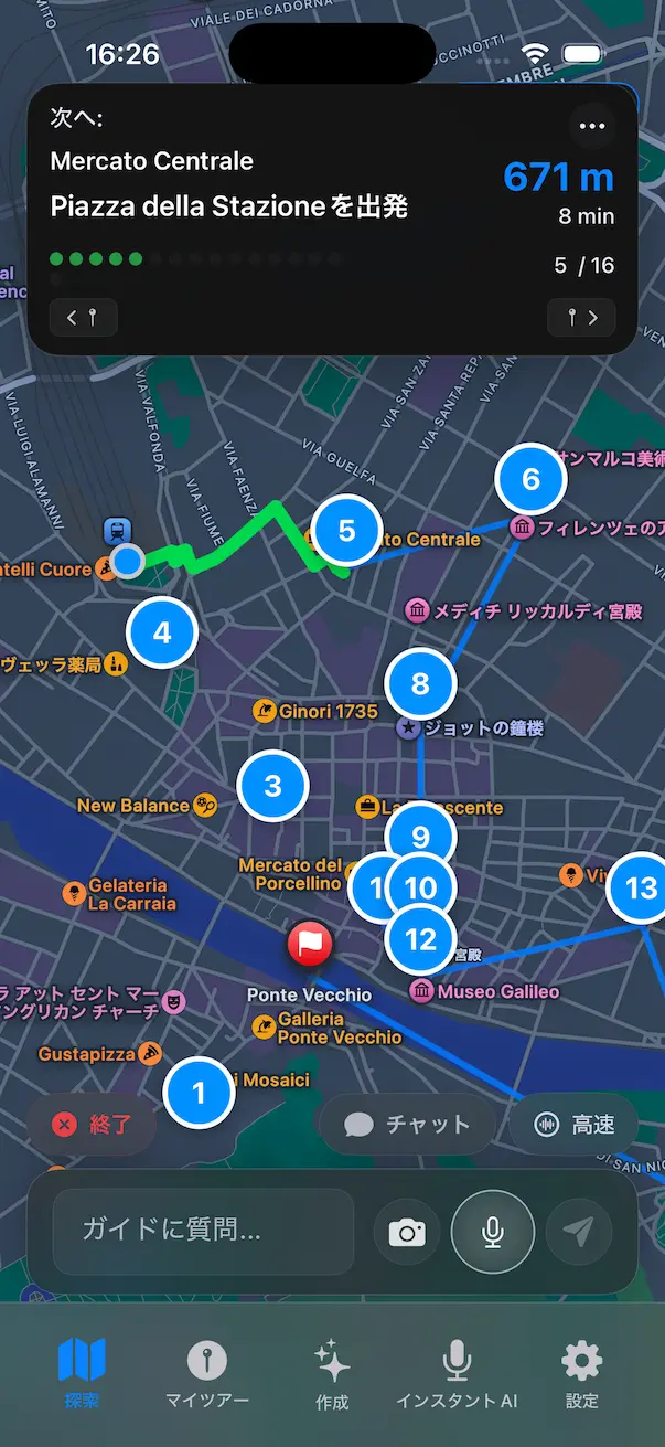 GPS Navigation Interface